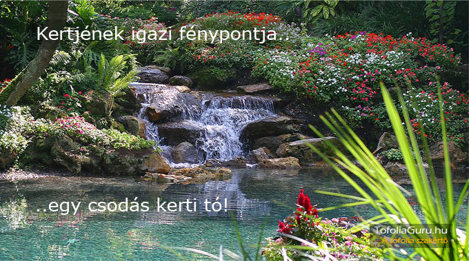 Tófólia borítású kerti tó